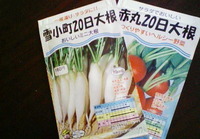 プチガーデン“Babyな野菜編”