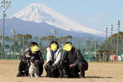 お正月その２