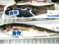 戸田へ