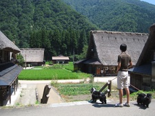 暑い夏　ワン連れの旅