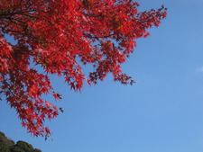 東府やベーカリー＆カフェで足湯＆紅葉狩り