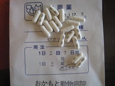 Picassoにはお薬＝食べ物