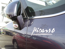 Picasso