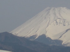 冬春が混在