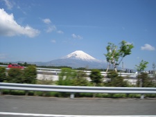 12 HappyTail Meeting in 横浜本牧
