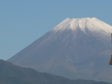 no.19 春うらら