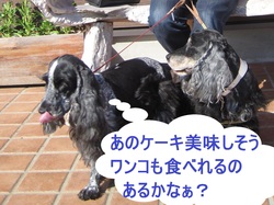 鎧塚ファーム