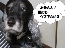おねだり上手