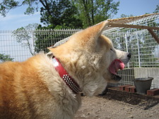 薪ストーブのある暮らし