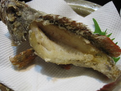 釣果再び
