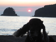 西伊豆の夕陽