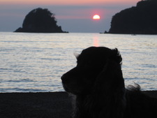 西伊豆の夕陽