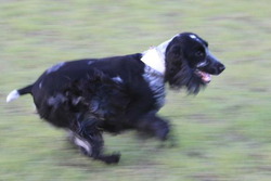 Run！Run！Run！