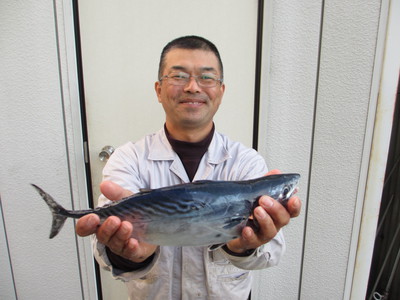 日本一　世界遺産　おにぎりを持って！