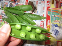 豆ごはん♪