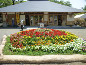 2013.5.25　私の見た「みしま花のまちフェア」