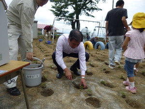 2013.6.8　坂幼稚園　園庭芝生化