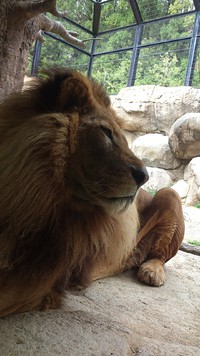 日本平動物園