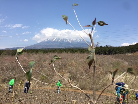 第24回富士山麓ブナ林創造事業で美しい富士山とケーナの響きにのせて