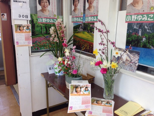 吉岡なおちゃんの心臓移植手術の費用を募集しています！