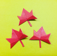 【origami・秋】おりがみで楓 2016/11/21 11:55:00
