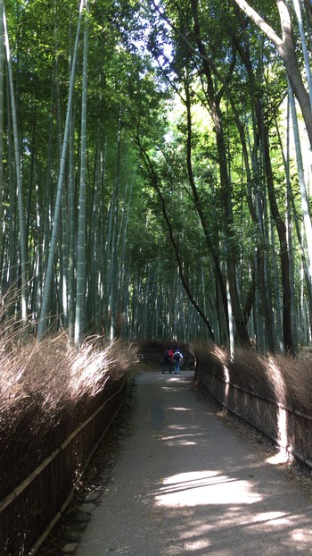 青春１８きっぷ旅行記5