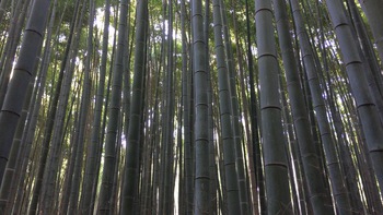 青春１８きっぷ旅行記5