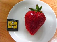 でかっ！！
