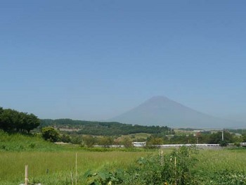 うれしい一日