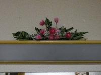 春～よ来い！