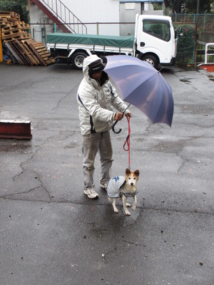 雨ニモマケズ