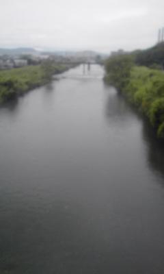 今朝の潤井川