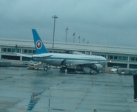 懐かしい全日空機