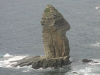 いきなり黄金伝説で紹介された与那国島