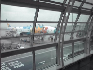ポケモン飛行機で