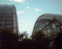 夢の島熱帯植物園