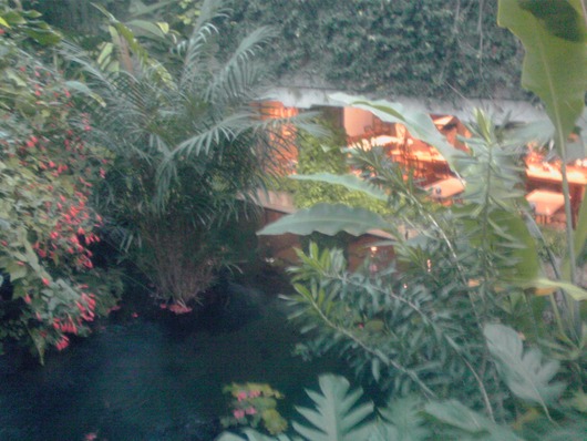 夢の島熱帯植物園