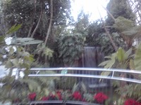 夢の島熱帯植物園