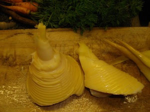 春です！初物です（*^_^*）