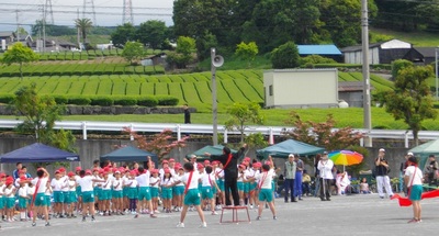 青葉茂る台地