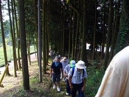 青葉台地区の歩け歩け～なう