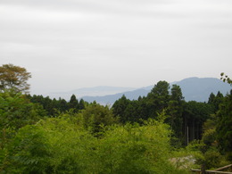新そば～！富士山南麓そば街道