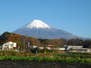 明日もよい天気でありますように！