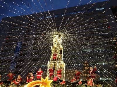 クリスマスマーケット  (✿╹‿╹)