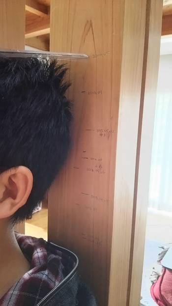 柱のキズはおととしの