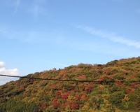 紅葉の香貫山