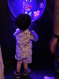平和を！未来の子らへ
