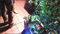 PPC(Pantas Photo Club)活動in〜御殿場高原〜その２ 2013/11/17 20:10:05