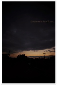 今日の夕空シルエット＊そうだった！こたつの・・・。 2013/11/06 18:29:42