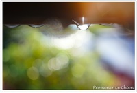 晴れた〜♪雨上がりのベランダより。。しずくフォト 2013/11/13 05:55:00